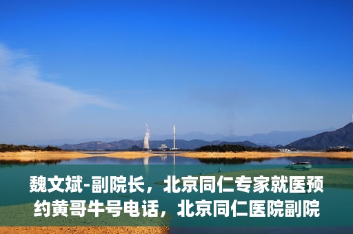 魏文斌-副院长，北京同仁专家就医预约黄哥牛号电话，北京同仁医院副院长魏文斌，专家预约就医指南及黄哥牛号联系电话揭秘