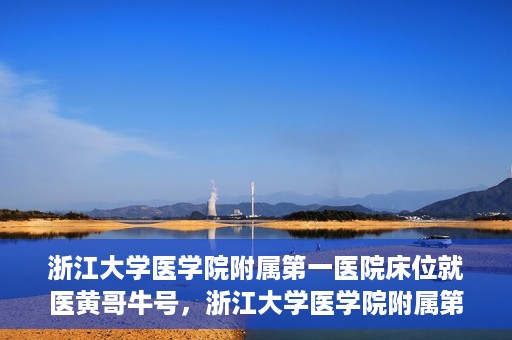 浙江大学医学院附属第一医院床位就医黄哥牛号，浙江大学医学院附属第一医院床位就医攻略，黄哥牛号助您轻松挂号就医