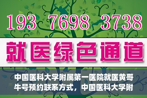 中国医科大学附属第一医院就医黄哥牛号预约联系方式，中国医科大学附属第一医院黄哥牛号预约挂号联系方式详解