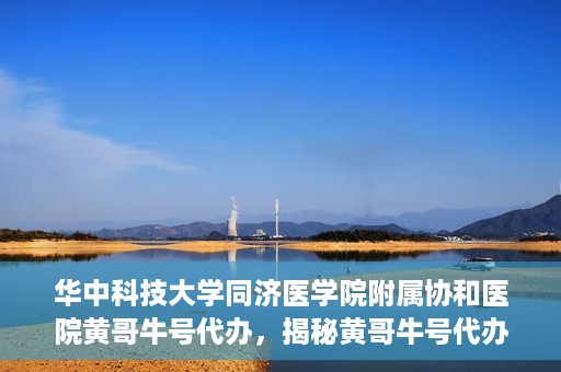 华中科技大学同济医学院附属协和医院黄哥牛号代办，揭秘黄哥牛号代办背后的故事，华中科技大学同济医学院附属协和医院就医新途径探索