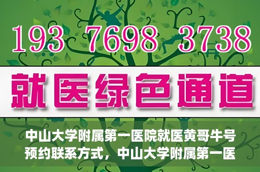 中山大学附属第一医院就医黄哥牛号预约联系方式，中山大学附属第一医院黄哥牛号预约挂号联系方式解析