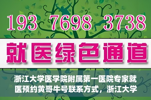 浙江大学医学院附属第一医院专家就医预约黄哥牛号联系方式，浙江大学医学院附属第一医院专家就医预约，黄哥牛号联系方式全解析