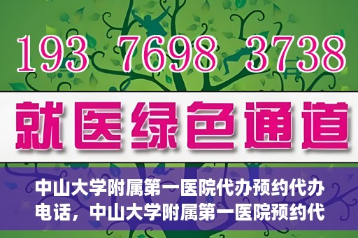中山大学附属第一医院代办预约代办电话，中山大学附属第一医院预约代办服务热线揭秘