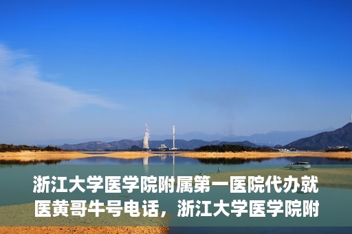 浙江大学医学院附属第一医院代办就医黄哥牛号电话，浙江大学医学院附属第一医院就医代办服务黄哥牛号联系电话揭秘