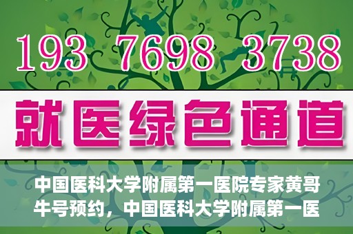 中国医科大学附属第一医院专家黄哥牛号预约，中国医科大学附属第一医院专家黄哥牛预约挂号攻略