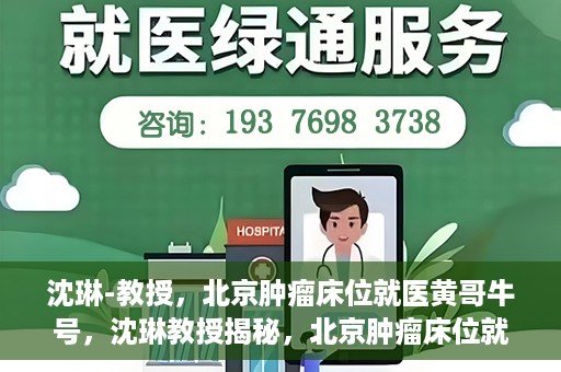 沈琳-教授，北京肿瘤床位就医黄哥牛号，沈琳教授揭秘，北京肿瘤床位就医攻略——黄哥牛号引领健康之路