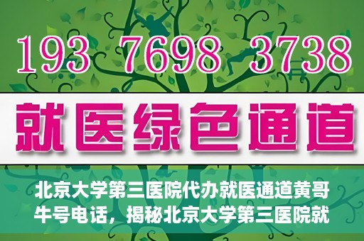 北京大学第三医院代办就医通道黄哥牛号电话，揭秘北京大学第三医院就医代办通道背后的黄哥牛号电话秘密