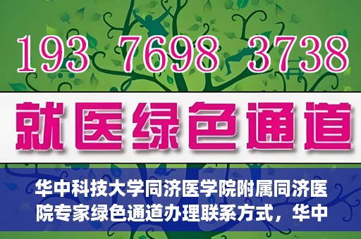 华中科技大学同济医学院附属同济医院专家绿色通道办理联系方式，华中科技大学同济医院专家绿色通道联系指南，快速办理秘籍与联系方式揭秘