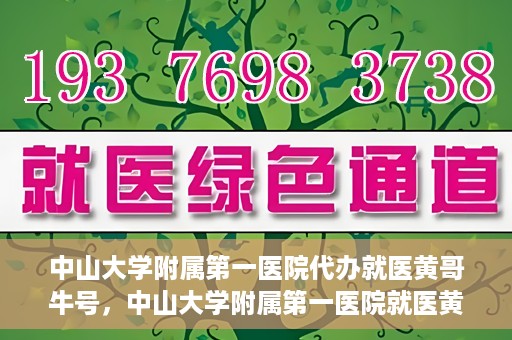 中山大学附属第一医院代办就医黄哥牛号，中山大学附属第一医院就医黄哥牛号代办攻略
