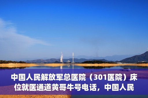 中国人民解放军总医院（301医院）床位就医通道黄哥牛号电话，中国人民解放军总医院（301医院）床位预约就医通道详解，黄哥牛号电话与预约指南