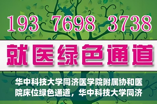 华中科技大学同济医学院附属协和医院床位绿色通道，华中科技大学同济医学院附属协和医院床位绿色通道解析与解读