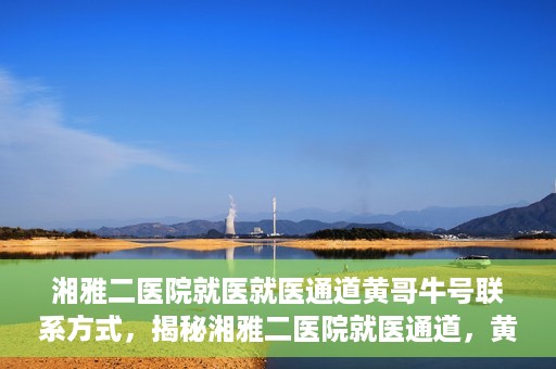 湘雅二医院就医就医通道黄哥牛号联系方式，揭秘湘雅二医院就医通道，黄哥牛号联系方式及就医指南