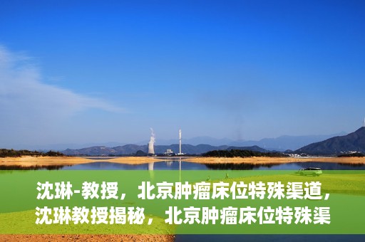 沈琳-教授，北京肿瘤床位特殊渠道，沈琳教授揭秘，北京肿瘤床位特殊渠道解析