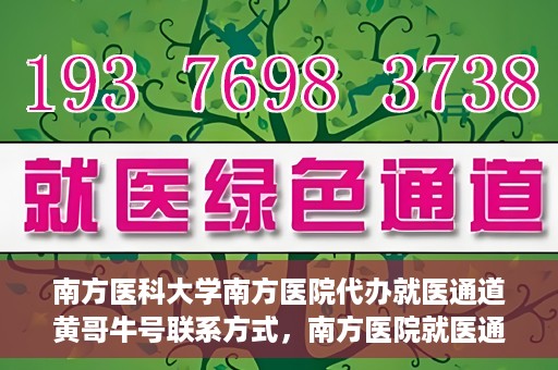 南方医科大学南方医院代办就医通道黄哥牛号联系方式，南方医院就医通道代办服务揭秘，黄哥牛号联系方式及代办流程解析
