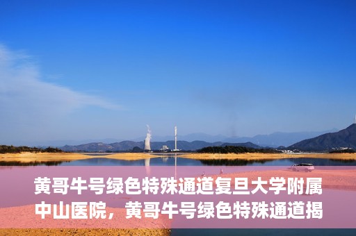 黄哥牛号绿色特殊通道复旦大学附属中山医院，黄哥牛号绿色特殊通道揭秘，复旦大学附属中山医院的独特之处