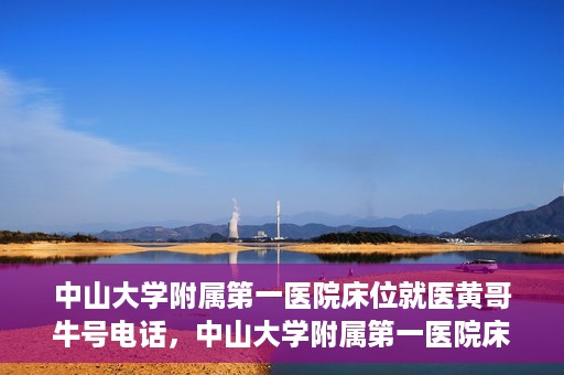 中山大学附属第一医院床位就医黄哥牛号电话，中山大学附属第一医院床位预约就医攻略，黄哥牛号电话全解析