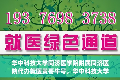 华中科技大学同济医学院附属同济医院代办就医黄哥牛号，华中科技大学同济医院就医黄哥牛号代办服务解析