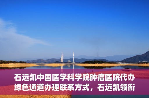石远凯中国医学科学院肿瘤医院代办绿色通道办理联系方式，石远凯领衔的中国医学科学院肿瘤医院绿色通道办理指南与联系方式揭秘