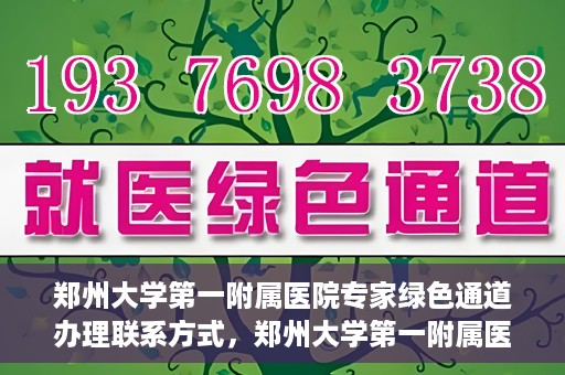 郑州大学第一附属医院专家绿色通道办理联系方式，郑州大学第一附属医院专家绿色通道联系指南，一站式解决您的咨询需求