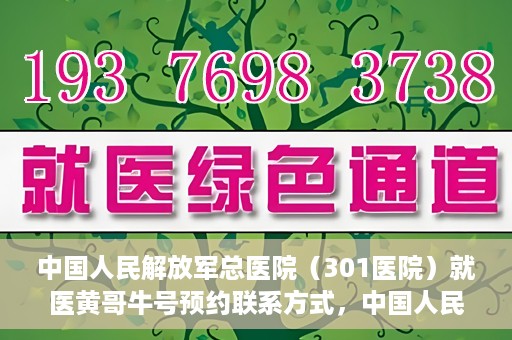 中国人民解放军总医院（301医院）就医黄哥牛号预约联系方式，中国人民解放军总医院（301医院）黄哥牛号预约挂号联系方式详解