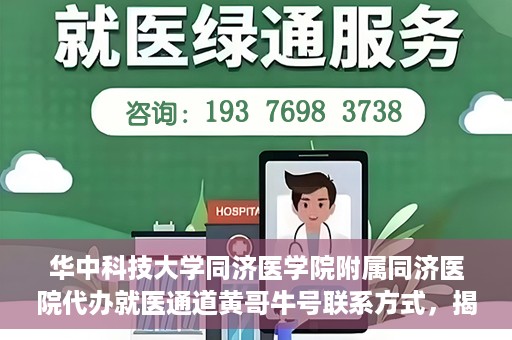 华中科技大学同济医学院附属同济医院代办就医通道黄哥牛号联系方式，揭秘黄哥牛号，同济医院就医通道代办联系方式与操作指南