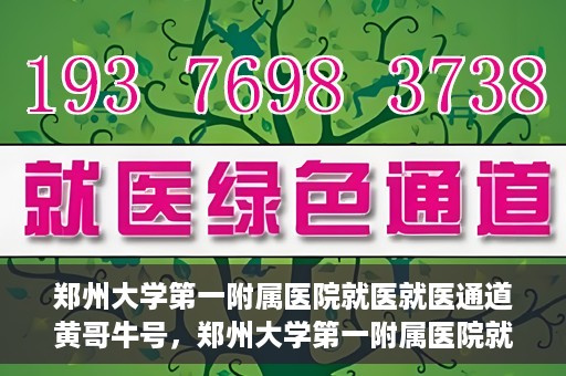 郑州大学第一附属医院就医就医通道黄哥牛号，郑州大学第一附属医院就医通道解析，黄哥牛号的实践之路
