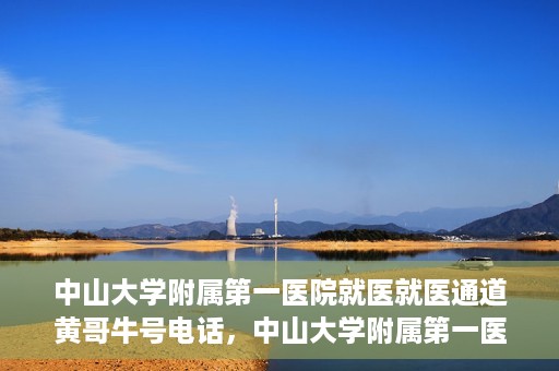 中山大学附属第一医院就医就医通道黄哥牛号电话，中山大学附属第一医院就医通道揭秘，黄哥牛号电话一键预约就医服务