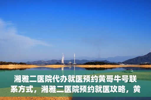 湘雅二医院代办就医预约黄哥牛号联系方式，湘雅二医院预约就医攻略，黄哥牛号联系方式全解析