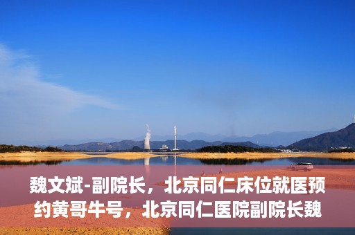 魏文斌-副院长，北京同仁床位就医预约黄哥牛号，北京同仁医院副院长魏文斌揭秘床位预约秘籍——黄哥牛号引领就医新风尚