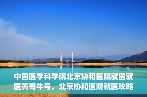 中国医学科学院北京协和医院就医就医黄哥牛号，北京协和医院就医攻略，黄哥牛号助您轻松挂号就医