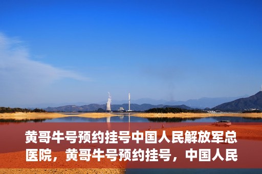 黄哥牛号预约挂号中国人民解放军总医院，黄哥牛号预约挂号，中国人民解放军总医院就医新体验