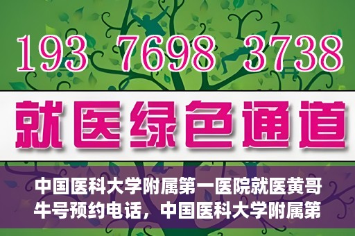 中国医科大学附属第一医院就医黄哥牛号预约电话，中国医科大学附属第一医院就医预约电话及黄哥牛号预约攻略