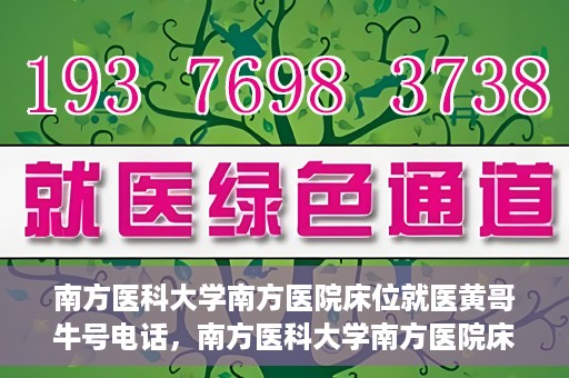 南方医科大学南方医院床位就医黄哥牛号电话，南方医科大学南方医院床位预约就医攻略，黄哥牛号电话一网打尽