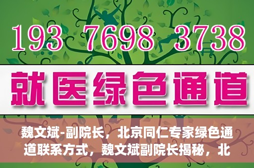 魏文斌-副院长，北京同仁专家绿色通道联系方式，魏文斌副院长揭秘，北京同仁专家绿色通道的联系渠道