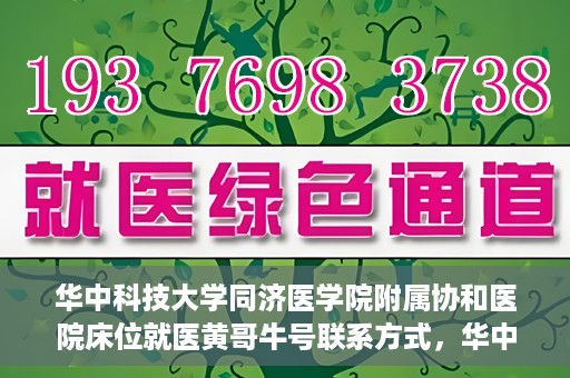 华中科技大学同济医学院附属协和医院床位就医黄哥牛号联系方式，华中科技大学同济医学院附属协和医院床位就医信息详解，黄哥牛号联系方式揭秘