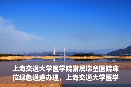上海交通大学医学院附属瑞金医院床位绿色通道办理，上海交通大学医学院附属瑞金医院床位绿色通道办理详解与攻略