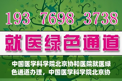 中国医学科学院北京协和医院就医绿色通道办理，中国医学科学院北京协和医院就医绿色通道办理详解与体验指南