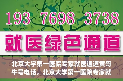 北京大学第一医院专家就医通道黄哥牛号电话，北京大学第一医院专家就医绿色通道与黄哥牛号联系电话揭秘