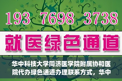 华中科技大学同济医学院附属协和医院代办绿色通道办理联系方式，华中科技大学同济医学院附属协和医院绿色通道办理指南及联系方式揭秘