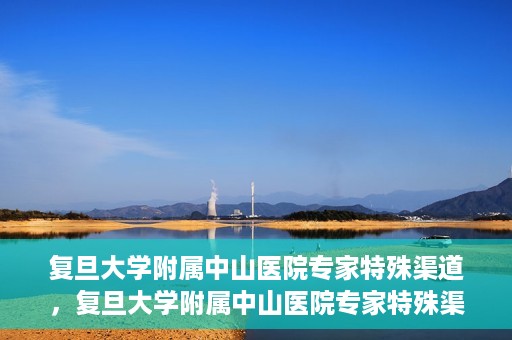 复旦大学附属中山医院专家特殊渠道，复旦大学附属中山医院专家特殊渠道解析与探讨