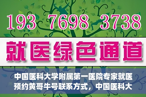中国医科大学附属第一医院专家就医预约黄哥牛号联系方式，中国医科大学附属第一医院专家就医预约联系方式揭秘，黄哥牛号助您轻松挂号就医