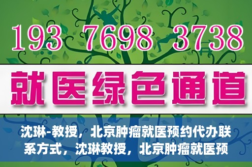沈琳-教授，北京肿瘤就医预约代办联系方式，沈琳教授，北京肿瘤就医预约代办的权威联系方式揭秘