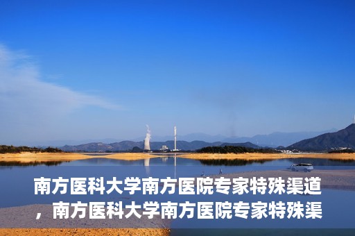 南方医科大学南方医院专家特殊渠道，南方医科大学南方医院专家特殊渠道解析，专业服务的背后故事