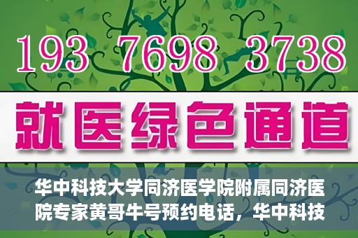 华中科技大学同济医学院附属同济医院专家黄哥牛号预约电话，华中科技大学同济医院专家黄哥牛号预约热线及咨询解析