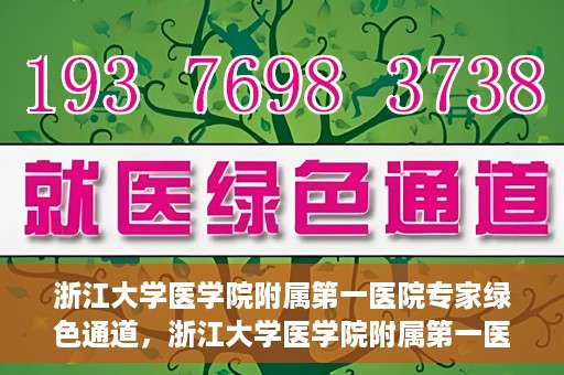 浙江大学医学院附属第一医院专家绿色通道，浙江大学医学院附属第一医院专家绿色通道，高效医疗服务的探索与实践