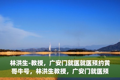 林洪生-教授，广安门就医就医预约黄哥牛号，林洪生教授，广安门就医预约秘籍，黄哥牛号助你轻松挂号