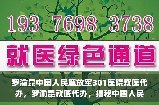 罗渝昆中国人民解放军301医院就医代办，罗渝昆就医代办，揭秘中国人民解放军301医院的医疗代办服务之路