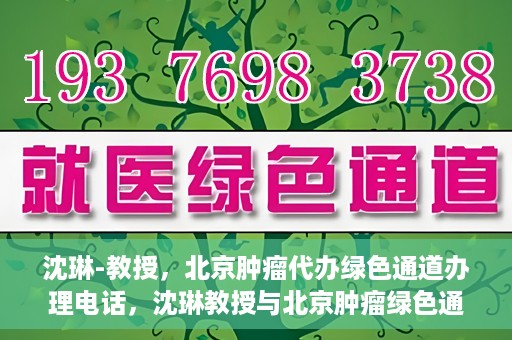 沈琳-教授，北京肿瘤代办绿色通道办理电话，沈琳教授与北京肿瘤绿色通道，快速办理电话指南