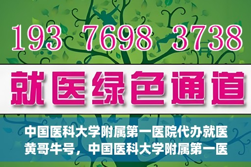 中国医科大学附属第一医院代办就医黄哥牛号，中国医科大学附属第一医院就医代办黄哥牛号服务解析