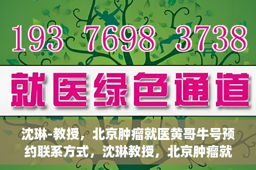 沈琳-教授，北京肿瘤就医黄哥牛号预约联系方式，沈琳教授，北京肿瘤就医预约攻略及黄哥牛号联系方式揭秘